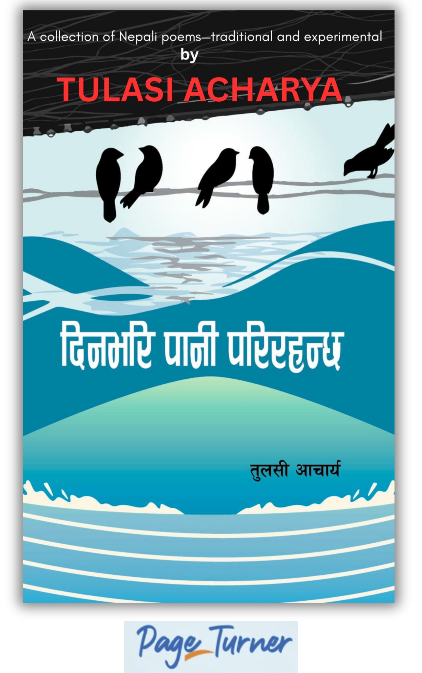 Book cover: दिनभरि पानी परिरहन्छ